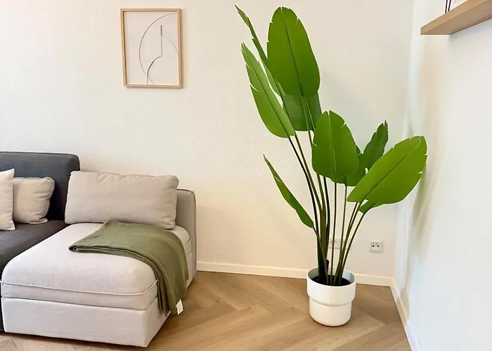 公寓 Helle Altbauperle Zwischen Koeln & Duesseldorf *